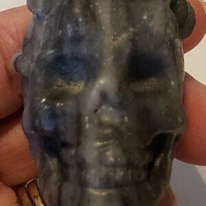 Zebra Jasper Lizard on a Skull